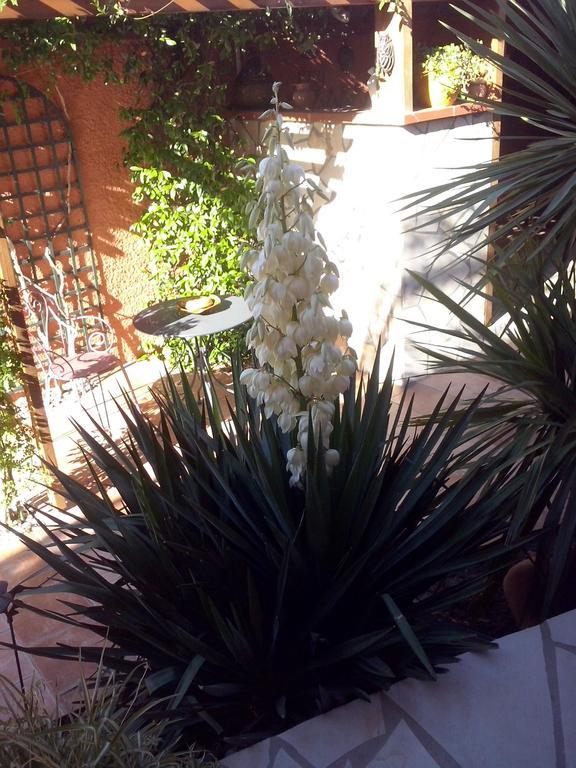 Bed and Breakfast La Gentoliere Pollestres Экстерьер фото