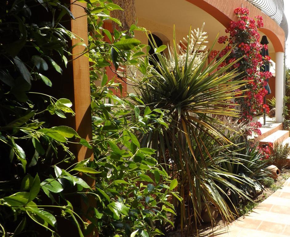 Bed and Breakfast La Gentoliere Pollestres Экстерьер фото